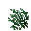 Patch of Bluish Tide Veil 5.gif