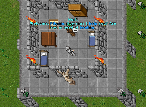 Arquivo:Pilgrimage of Ashes Quest Spiritual Shielding 1-2.png