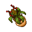 Potted Plant.gif