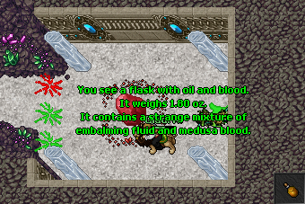 Cursed Crystal Quest 21.png