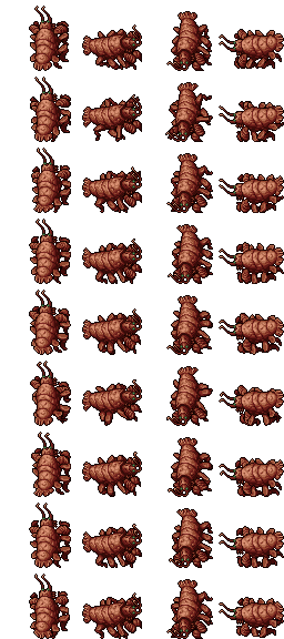 Arquivo:Outfitter 383.png