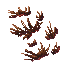 Withered Plants3.gif