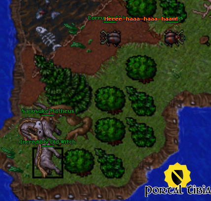 Arquivo:Incredibly Old Witch.png