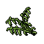 Bog Fingers Plant.gif