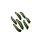 Patch of Bluish Whisper Reed.gif