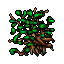 Mangrove (Medium).gif