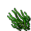 Kelp (Old).gif