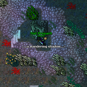 Arquivo:Twenty Miles Beneath the Sea Quest Imagem 14.png