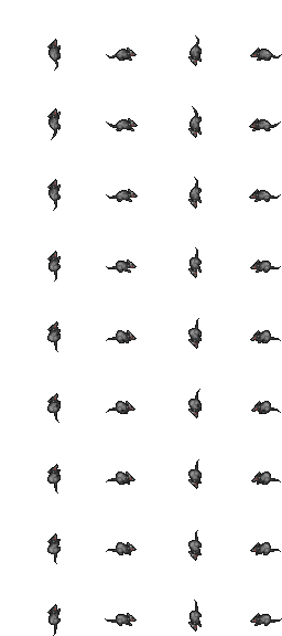 Arquivo:Outfitter 56.png