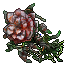 Festered Rose.gif