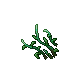 Patch of Bluish Tide Veil 4.gif