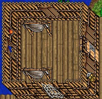 Crocodile Bridge 2.PNG