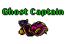 Ghost Captain.gif