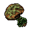 Cleansed Moss Cap Mushroom.gif