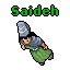 Saideh.gif