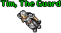 Tim, The Guard.gif
