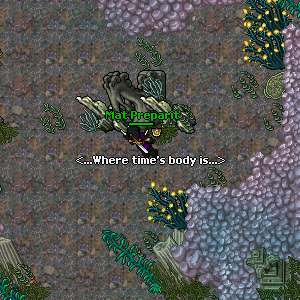 Arquivo:Twenty Miles Beneath the Sea Quest Imagem 13.png