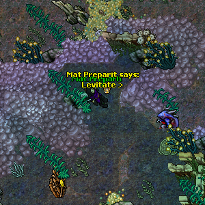 Twenty Miles Beneath the Sea Quest Imagem 6.png