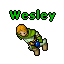 Wesley.gif