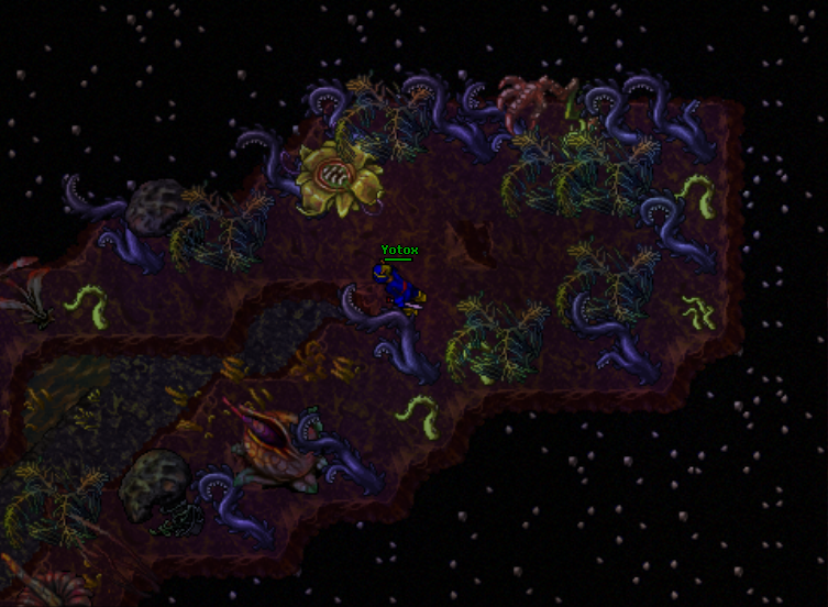 Arquivo:Chayennes realm9.png