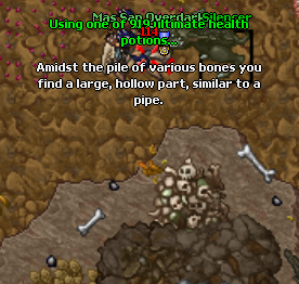 Arquivo:Pegando horn.png