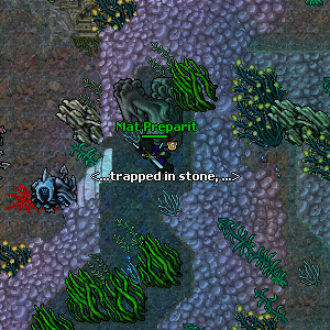 Arquivo:Twenty Miles Beneath the Sea Quest Imagem 15.png