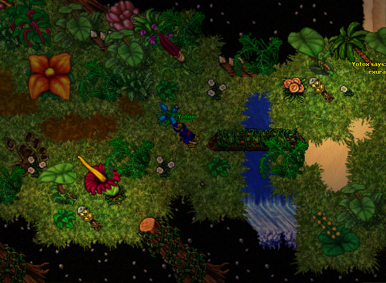 Arquivo:Chayennes realm2.png