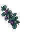 Purple Flowers 2.gif