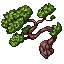 Pine Tree.gif