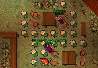 O básico para um jantar. Na Hard Rock Tavern em Venore, com o NPC Zebron.