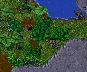 Arquivo:Dragon Lair 2 (Kha'labal).png