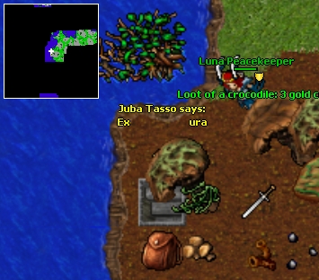 Entrada teleports talahu.jpg