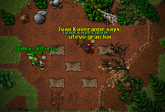 Arquivo:Rottin Wood2.1.png