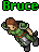 Bruce.gif