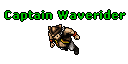 Captain Waverider.gif