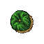 Green Round Cushion.gif