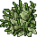 Overgrown Lime Cactus.gif