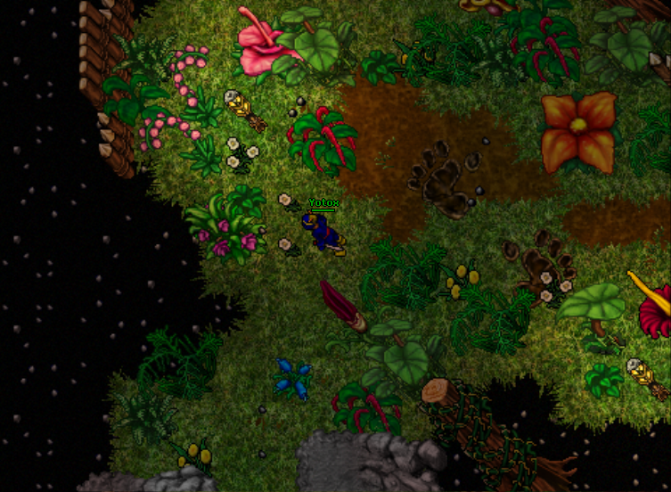 Arquivo:Chayennes realm3.png