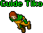 Guide Tiko.gif