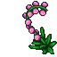 Large Pearl Flower (Pink).gif