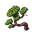 Pine Tree02.gif