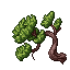 Pine Tree03.gif
