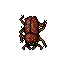 Common Beetle.gif
