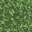 Lush Grass (Green).gif