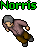 Norris.gif