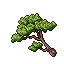 Pine Tree06.gif