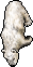 Polar Bear (Old).gif