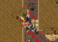 Noroeste da porta de entrada (33854,31464,9:1aqui)