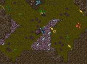 Raxias - Tibia Wiki - A Enciclopédia do Tibia