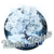 Winter Tree.png
